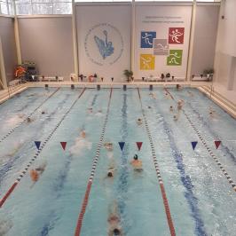 Swim1